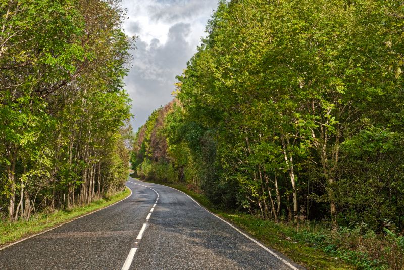 Chip Paving Installation